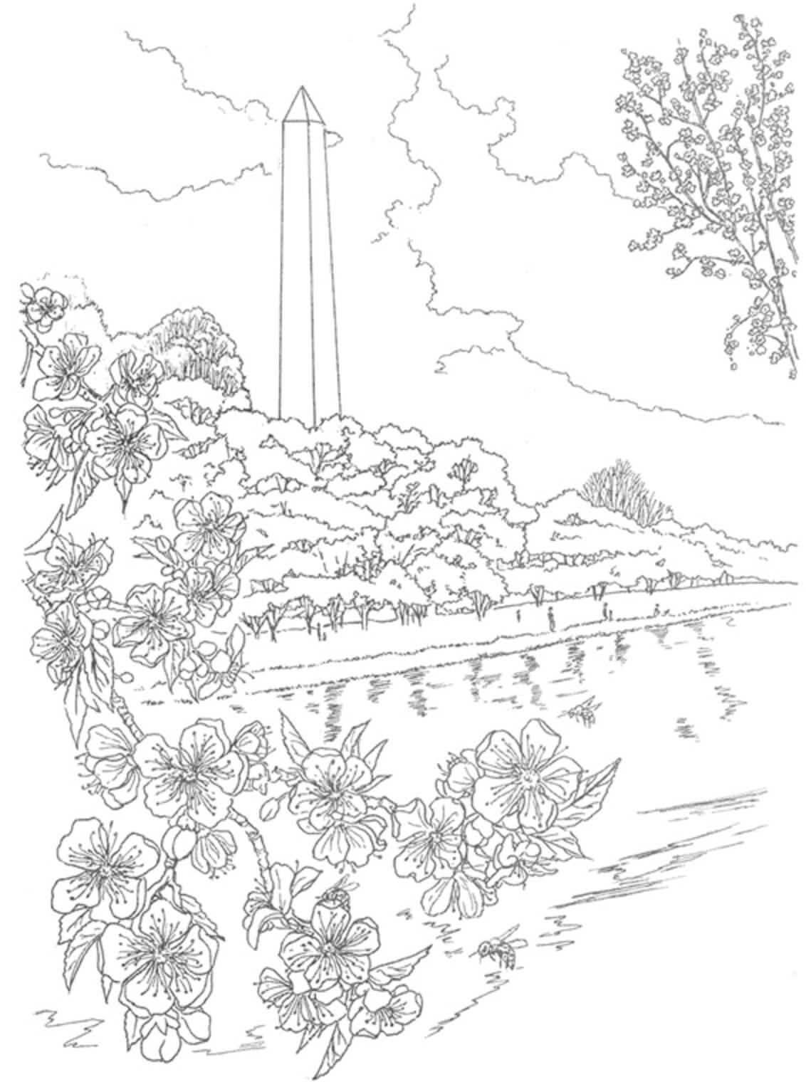 Erstaunliche Kirschblüte