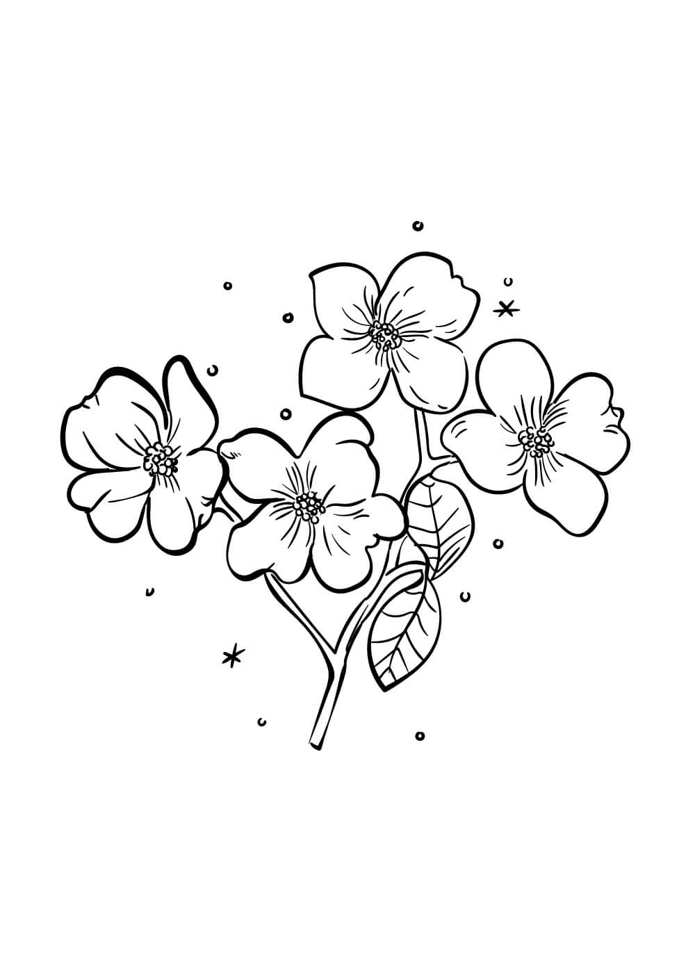 Coloriage Kirschblüte