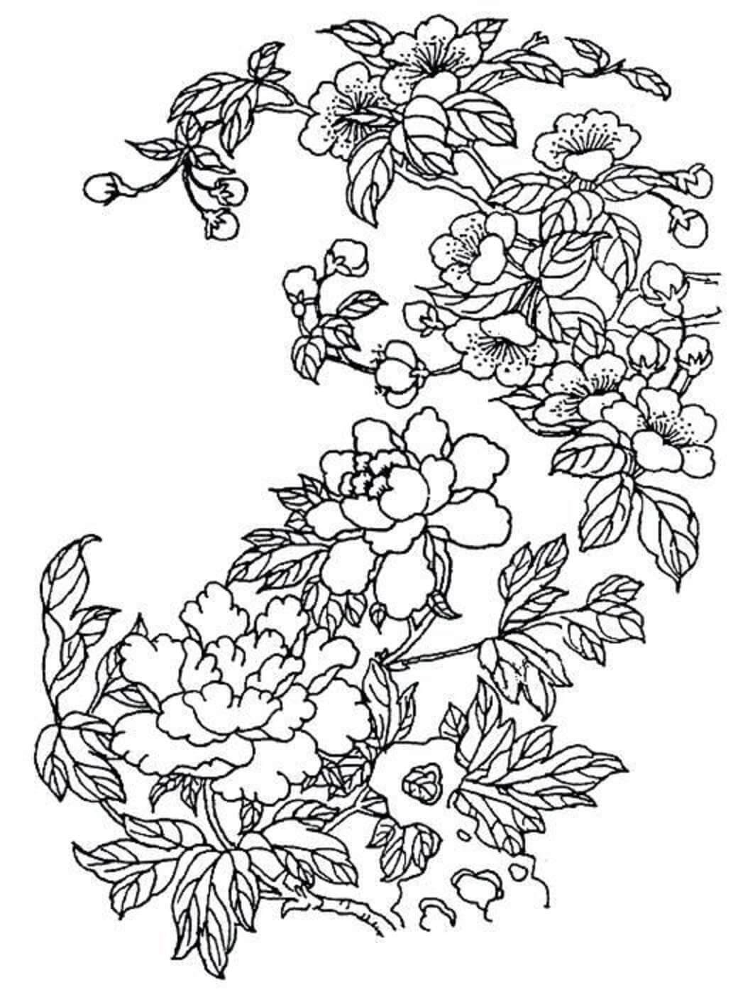 Schöne Kirschblüte