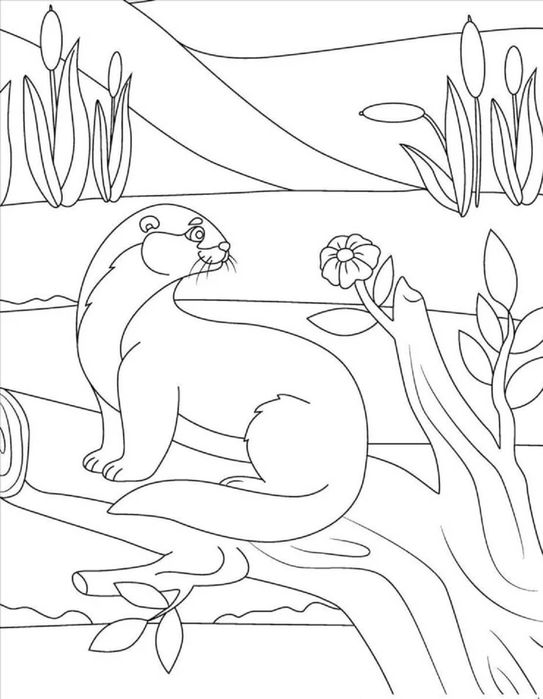 Otter mit Blume