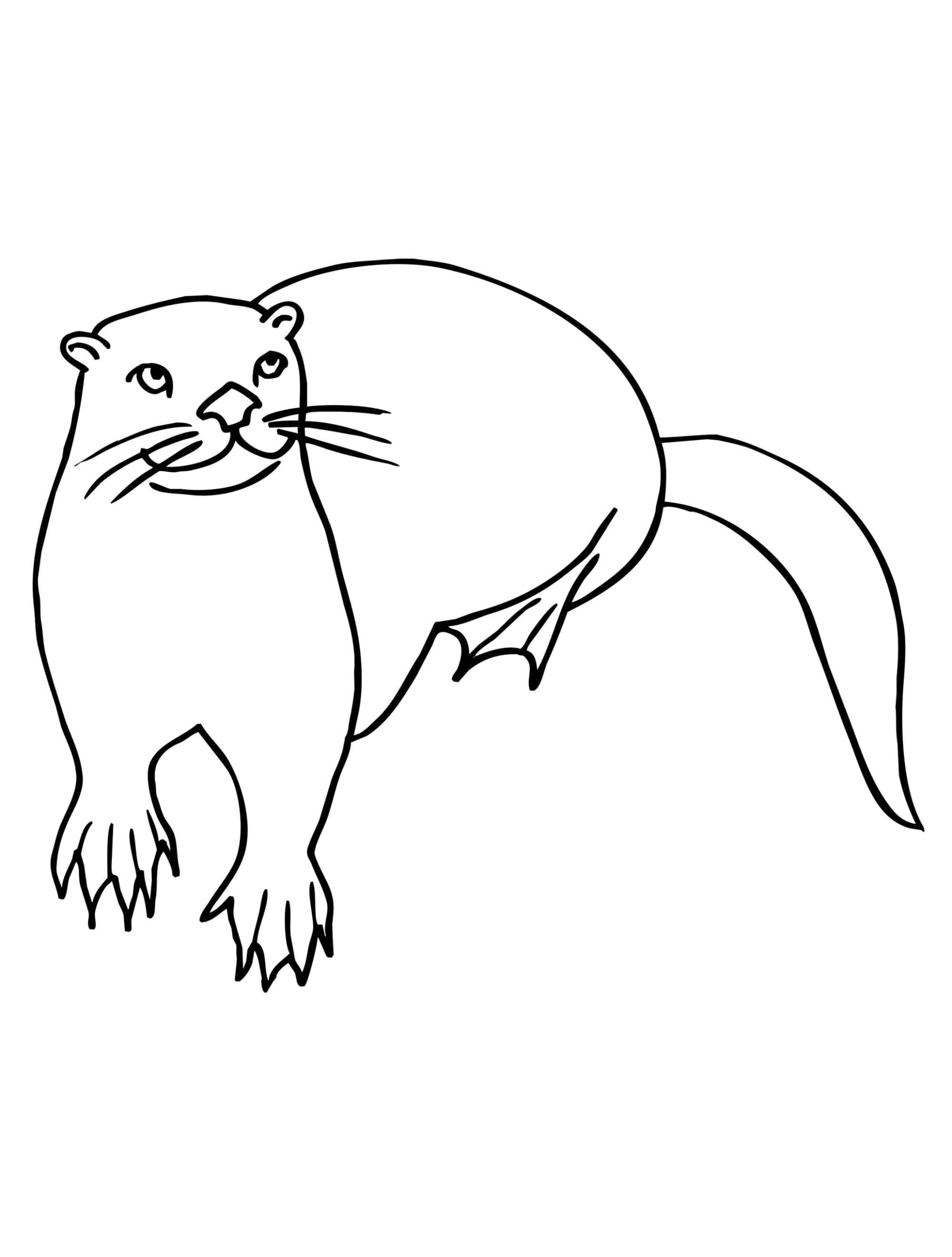 Otter stehend