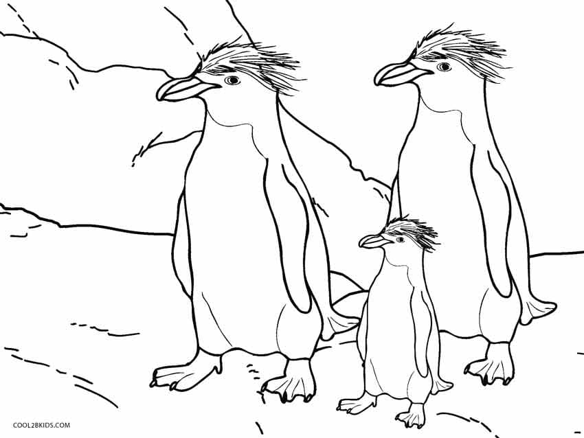 Bild mit drei Pinguinen