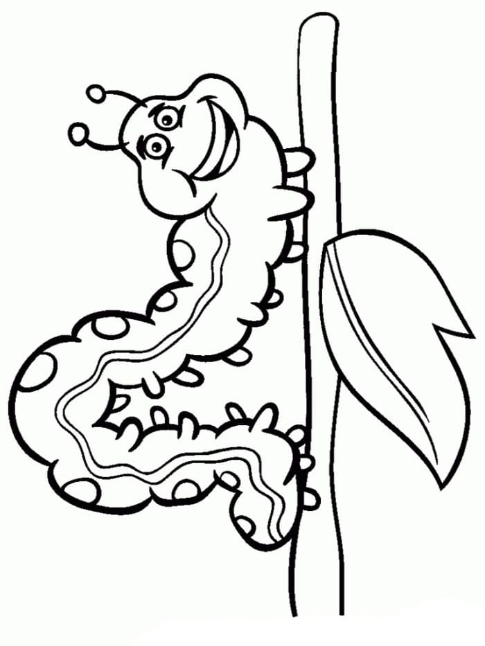 Druckbares Insekten Bild