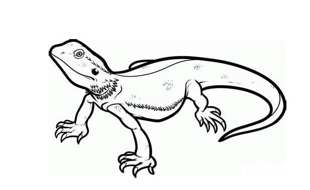 Eidechsen-Umriss drucken