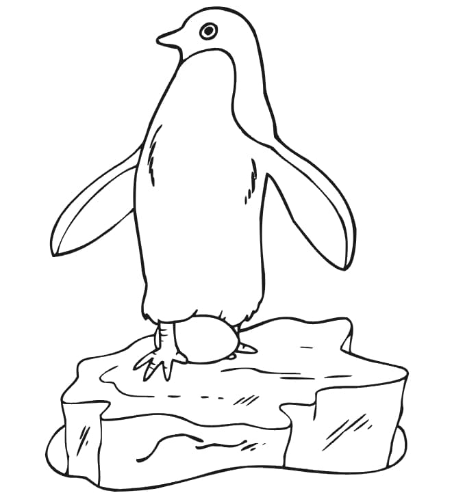 Pinguin 1