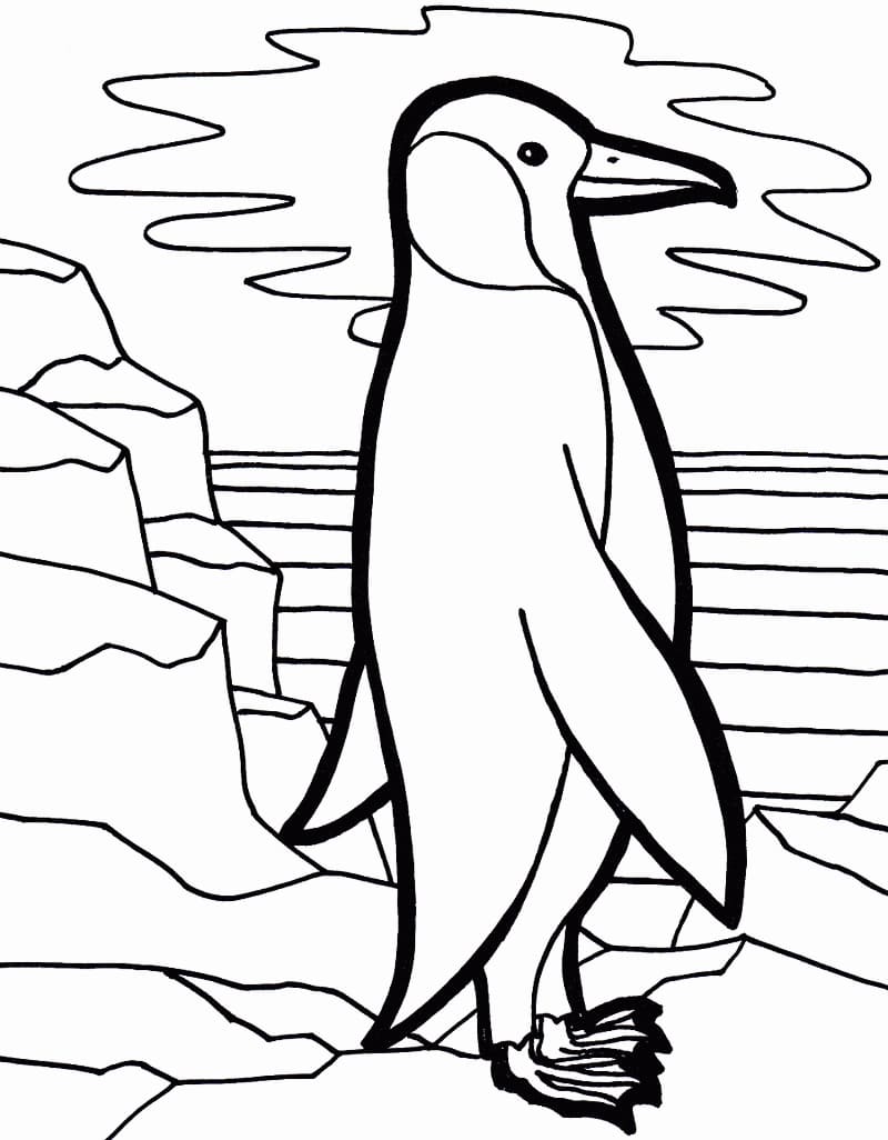 Pinguin stehend