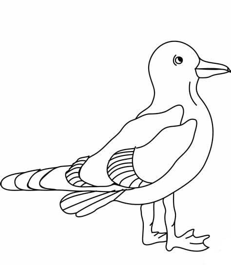 Stehendes Bild von Möwen