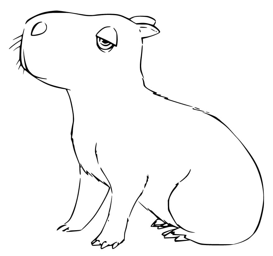 Capybara Von Encanto