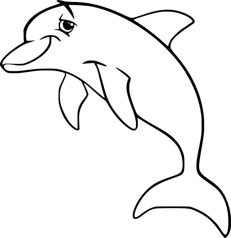 Cool Delfin