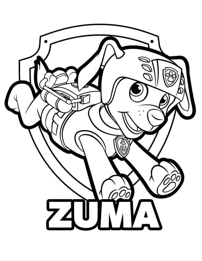 Coole Zuma Paw Patrol