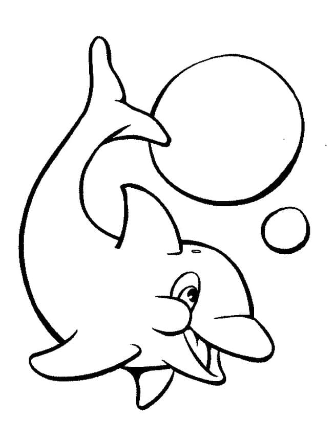 Delfin und Ein Ball