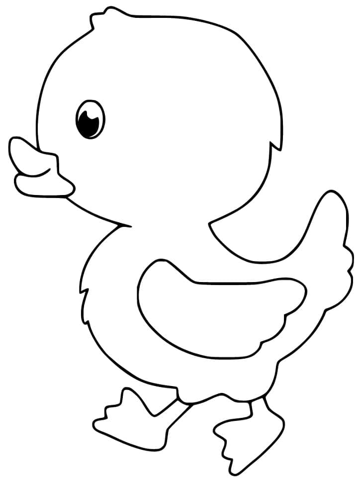 Entleinspaziergänge