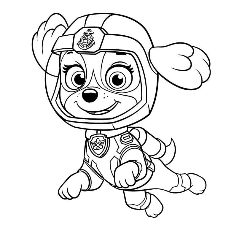 Erstaunliche Skye Paw Patrol