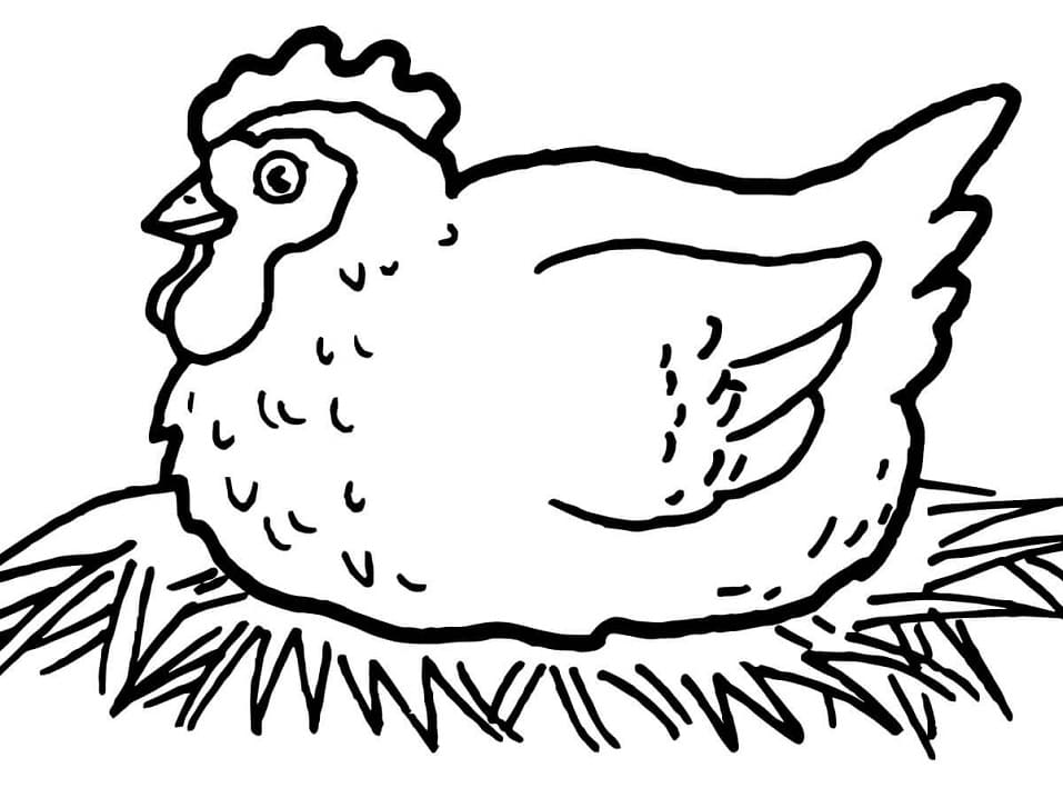 Free Printable Hen