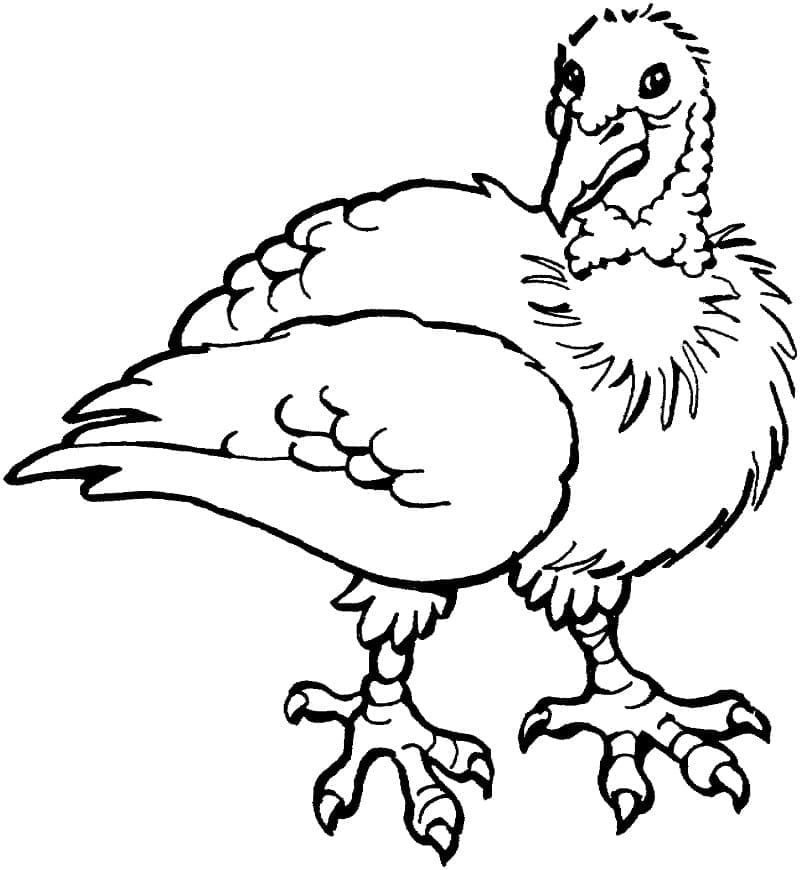 Hässliches Huhn