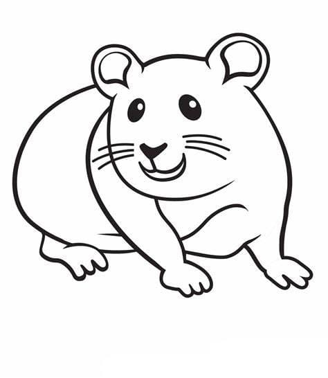 lustiges Hamsterbild