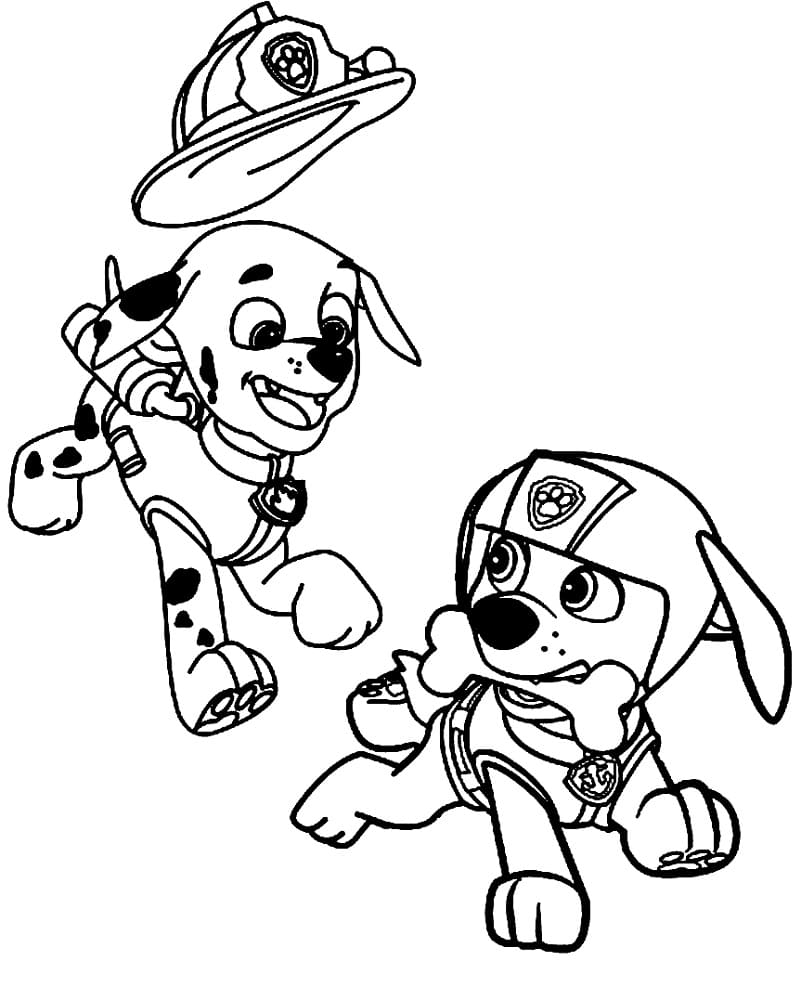 Marshall und Zuma Paw Patrol