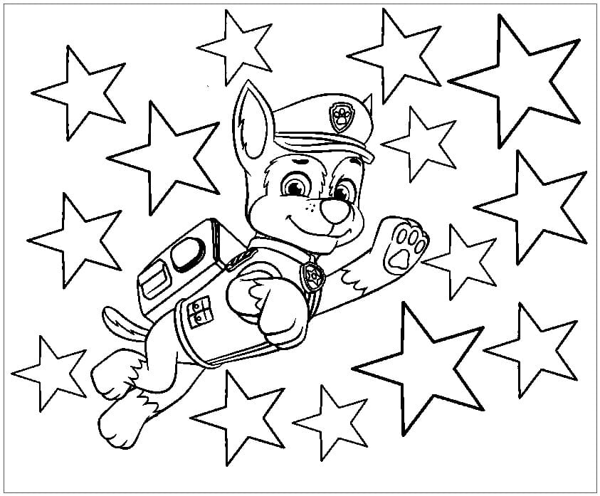 Paw Patrol Verfolgungsjagd