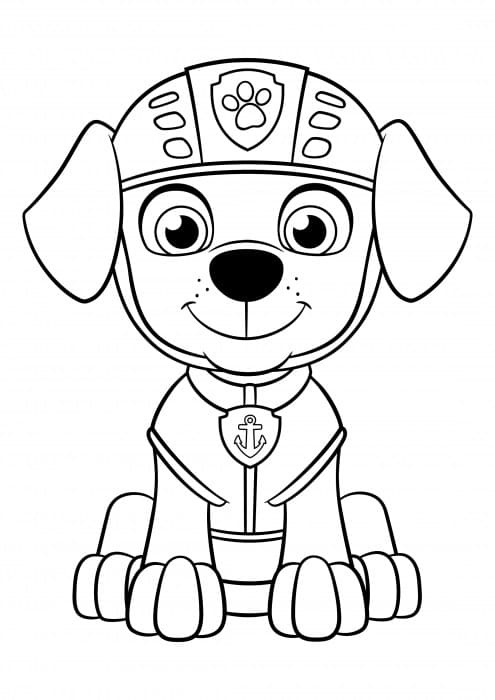 Paw Patrol Zuma