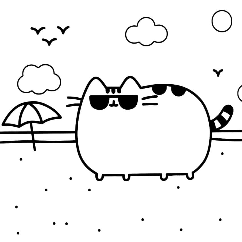 Pusheen am Strand