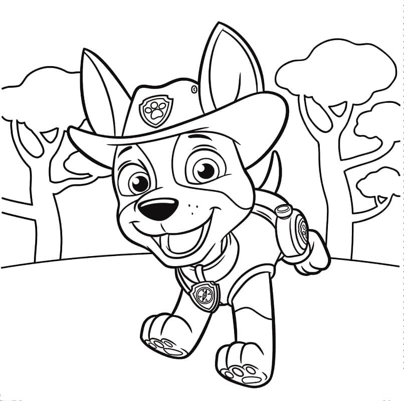Tracker von Paw Patrol