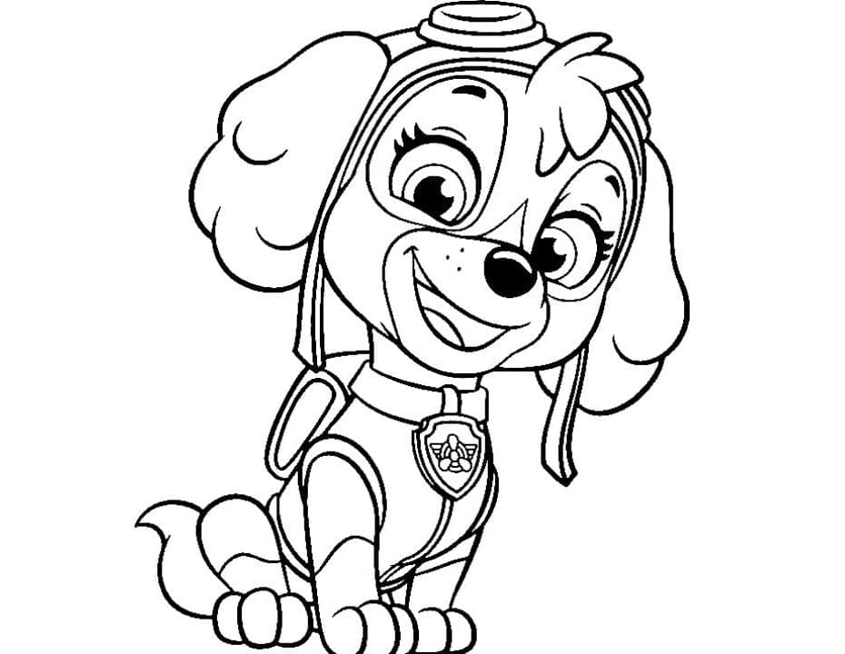 Happy Skye Paw Patrol