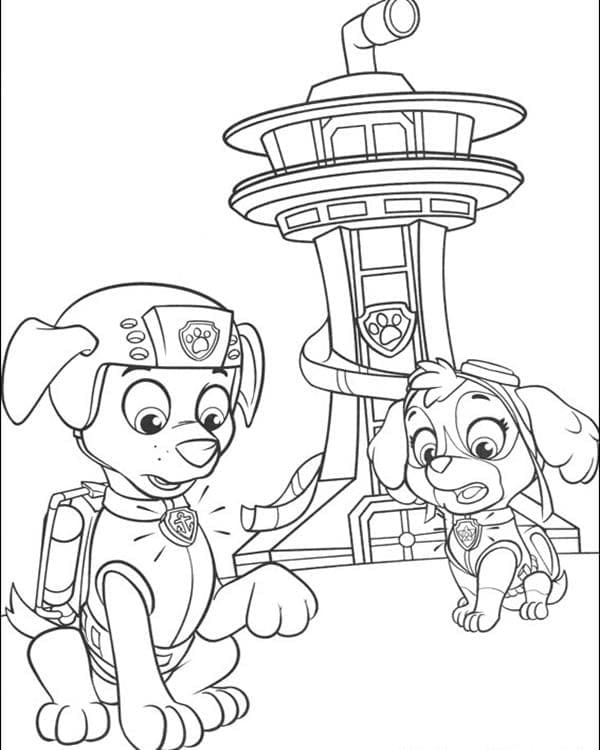 Zuma und Skye Paw Patrol