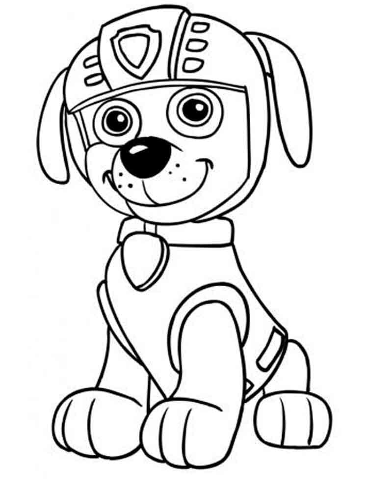 Zuma von Paw Patrol