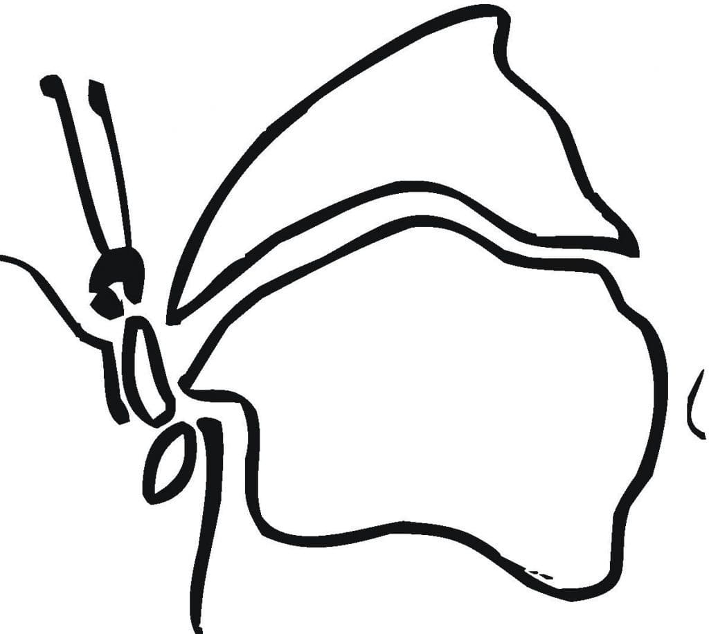 Druckbarer einfacher Schmetterling coloring page