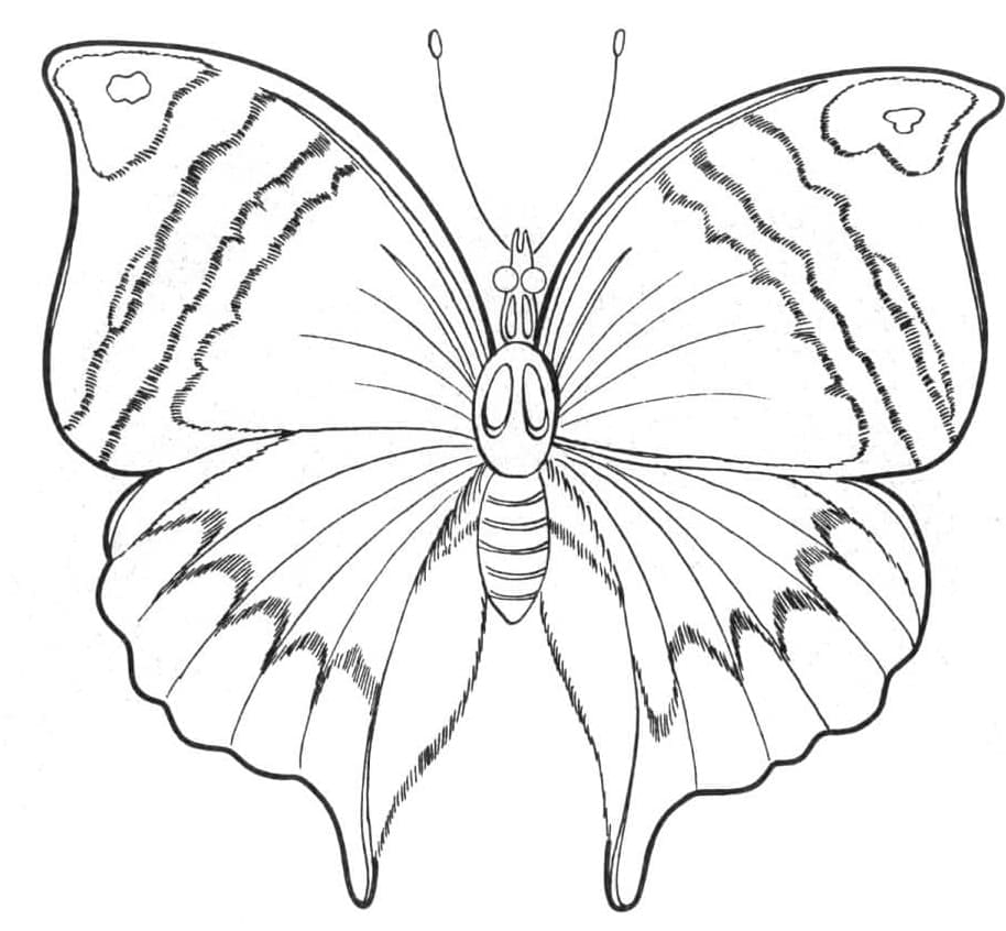 Ein Schmetterling coloring page