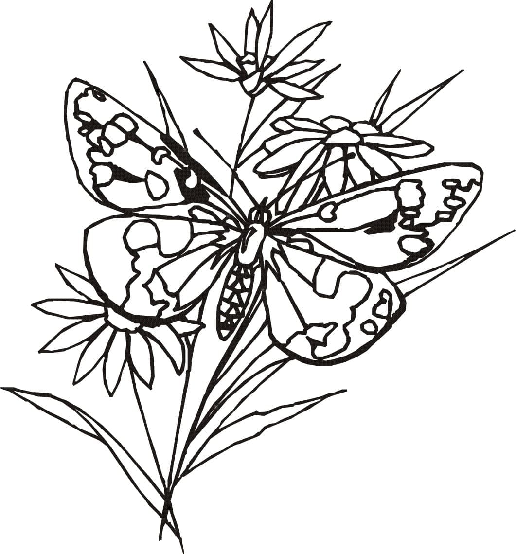 Ein Schmetterling mit Blumen coloring page