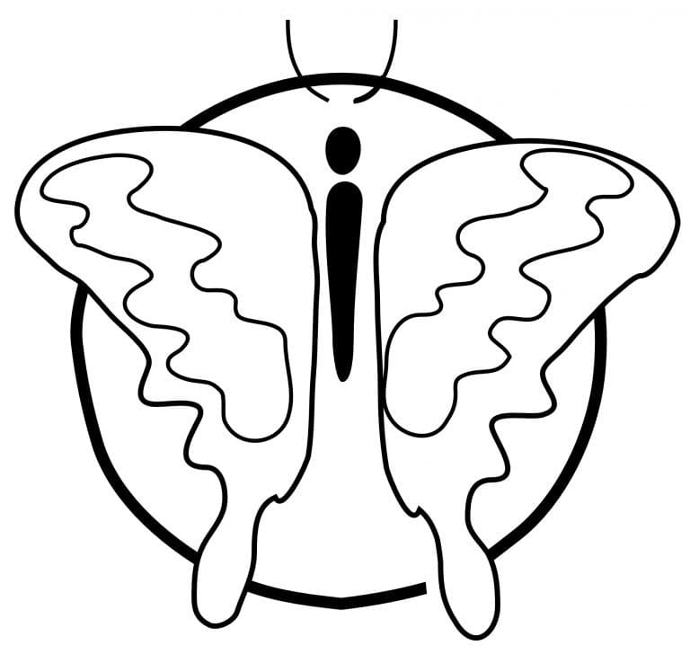 Ein Schmetterling zum Ausdrucken coloring page