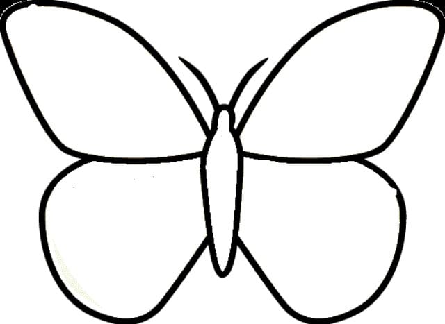 Einfacher Schmetterling zum Ausdrucken coloring page