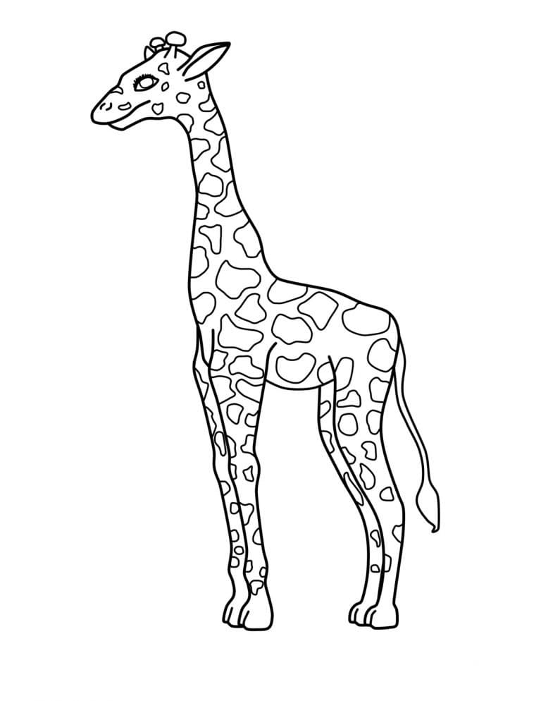 Giraffe zum Ausdrucken für Kinder