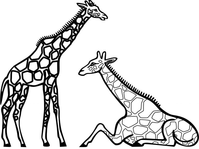 Giraffen zum ausdrucken