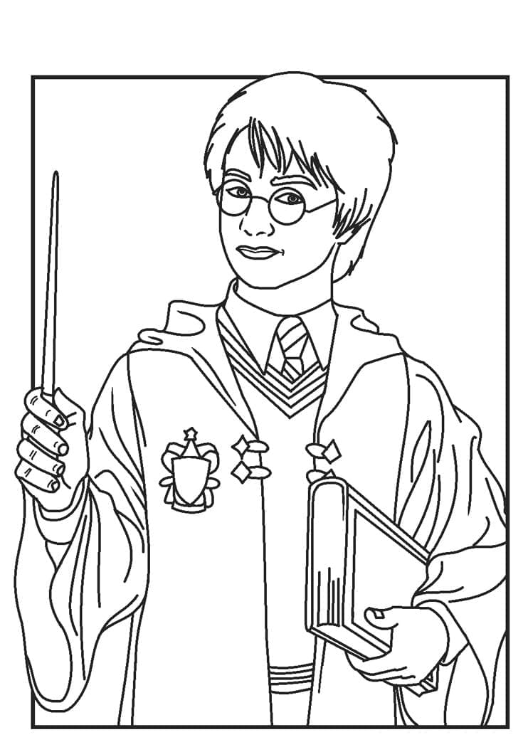 Harry Potter 15