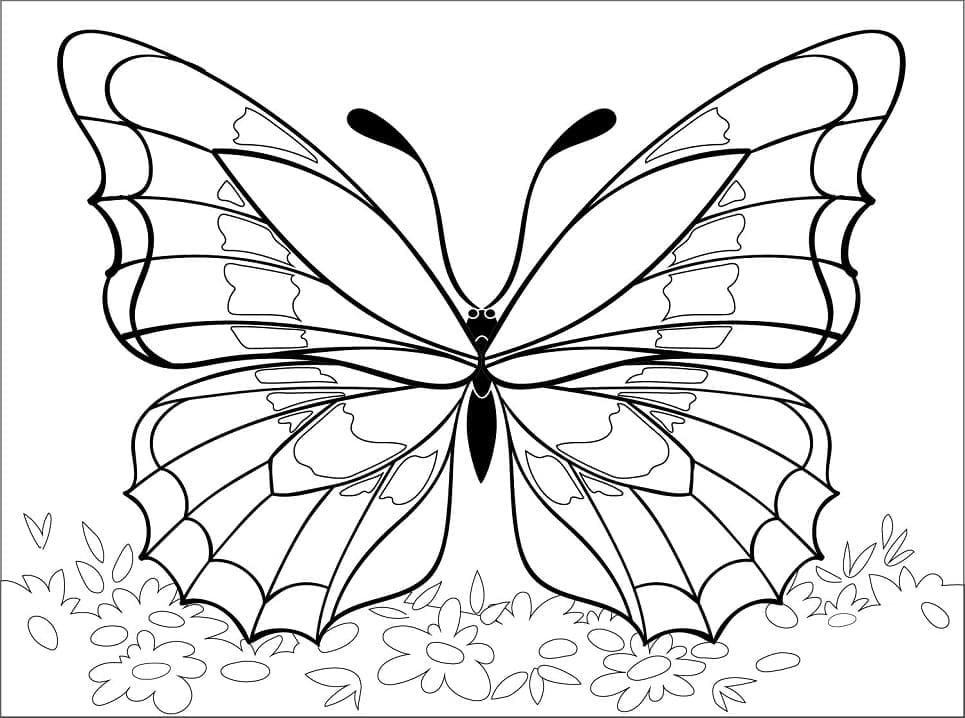 Kostenloser druckbarer Schmetterling coloring page