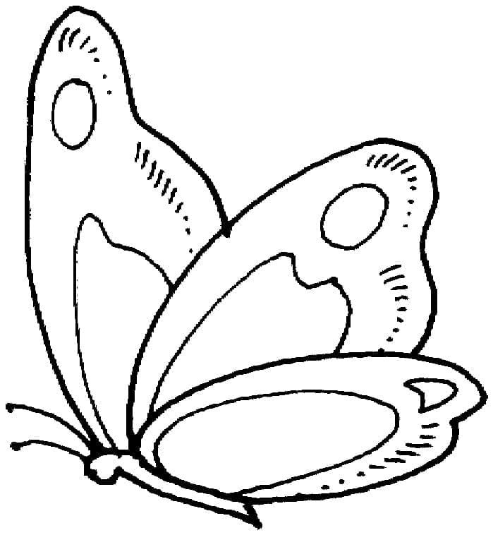 Kostenloser Schmetterling coloring page