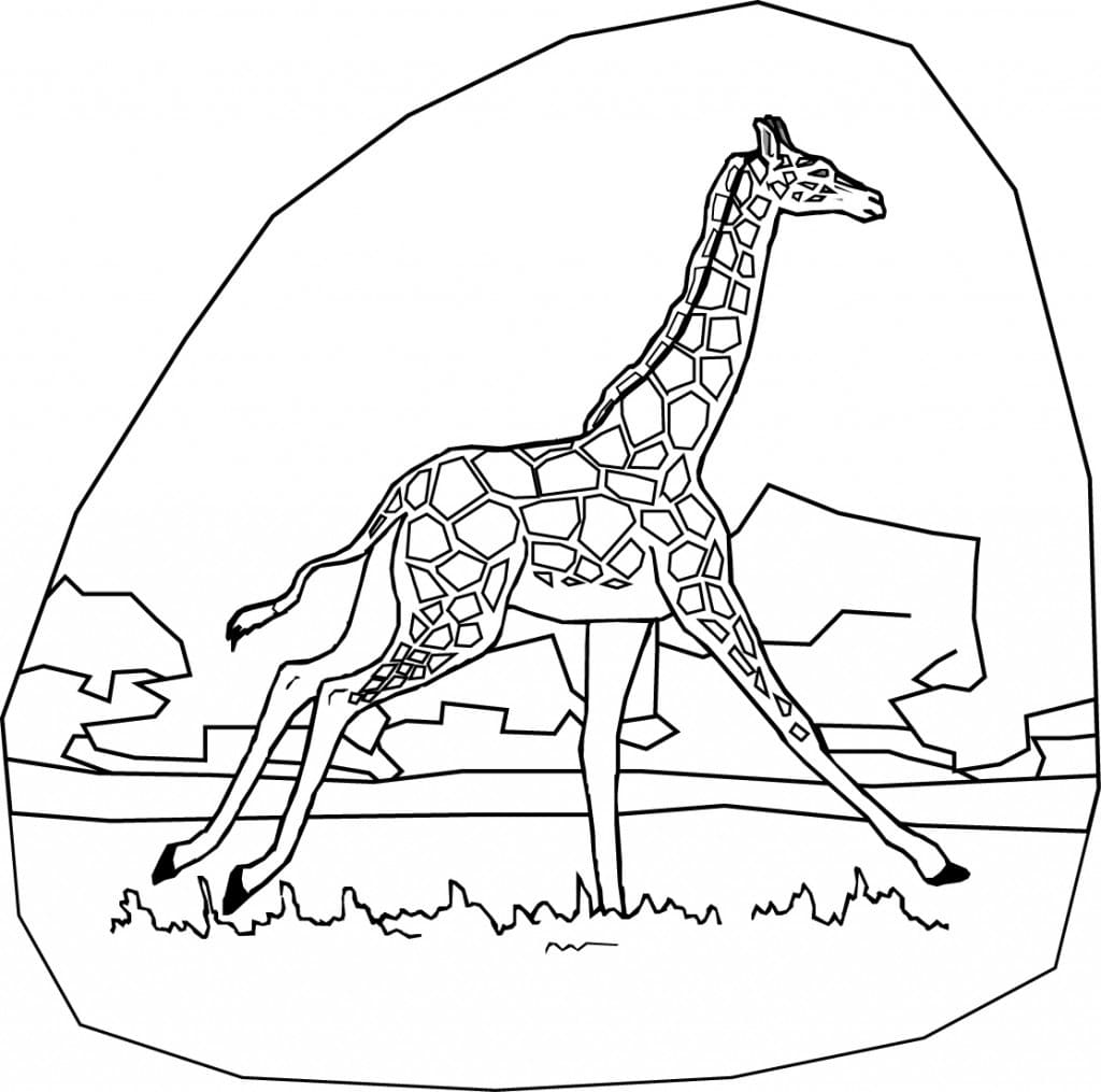 Laufende Giraffe