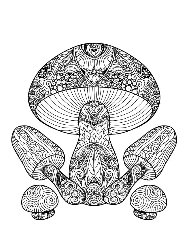 Pilze für Erwachsene