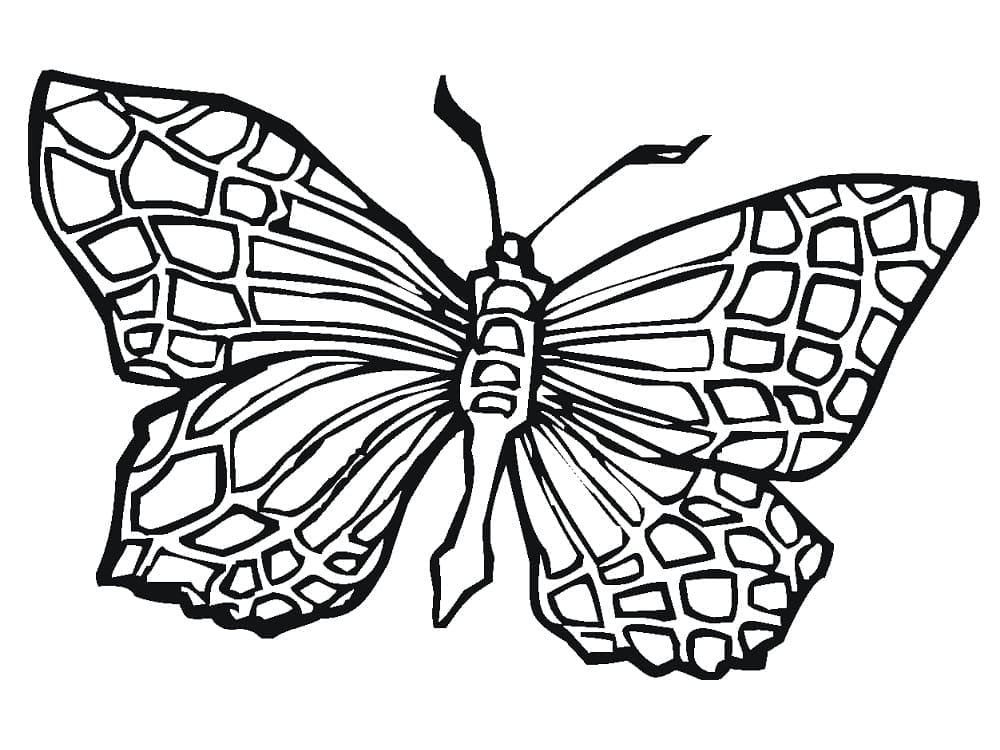 riesiger Schmetterling coloring page