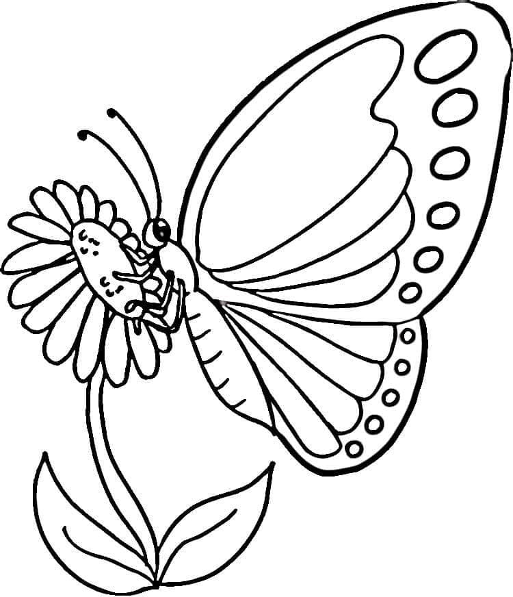 Schmetterling auf einer Blume coloring page