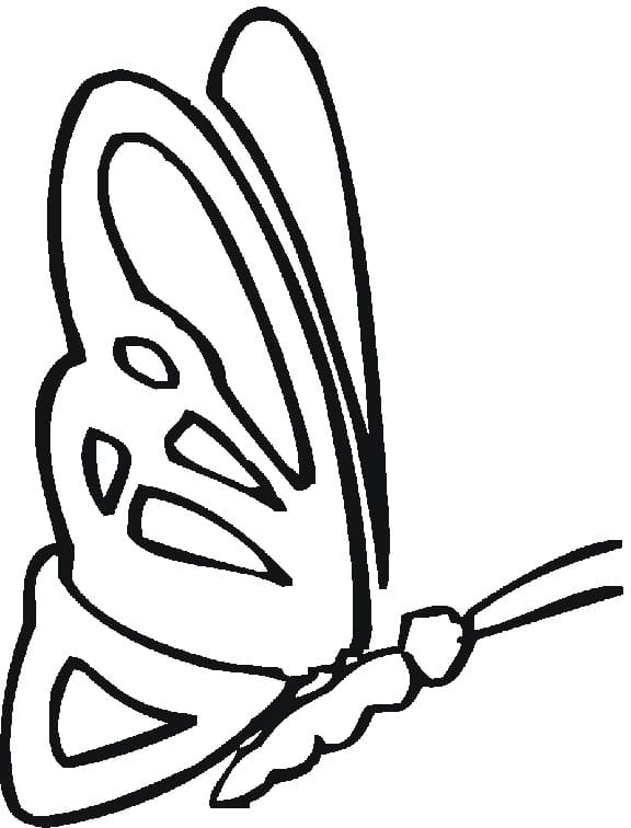 Schmetterling für den Kindergarten coloring page