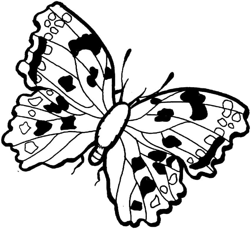 Schmetterling für Kinder coloring page