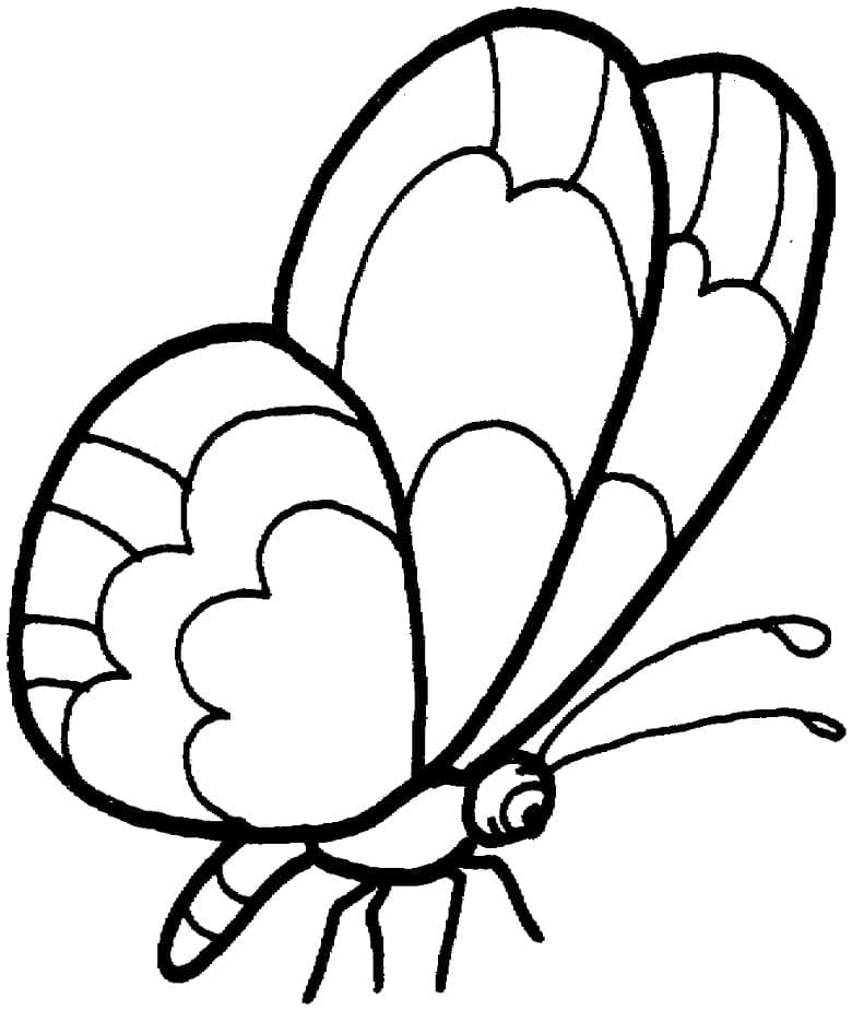 Schmetterling zum Ausdrucken coloring page