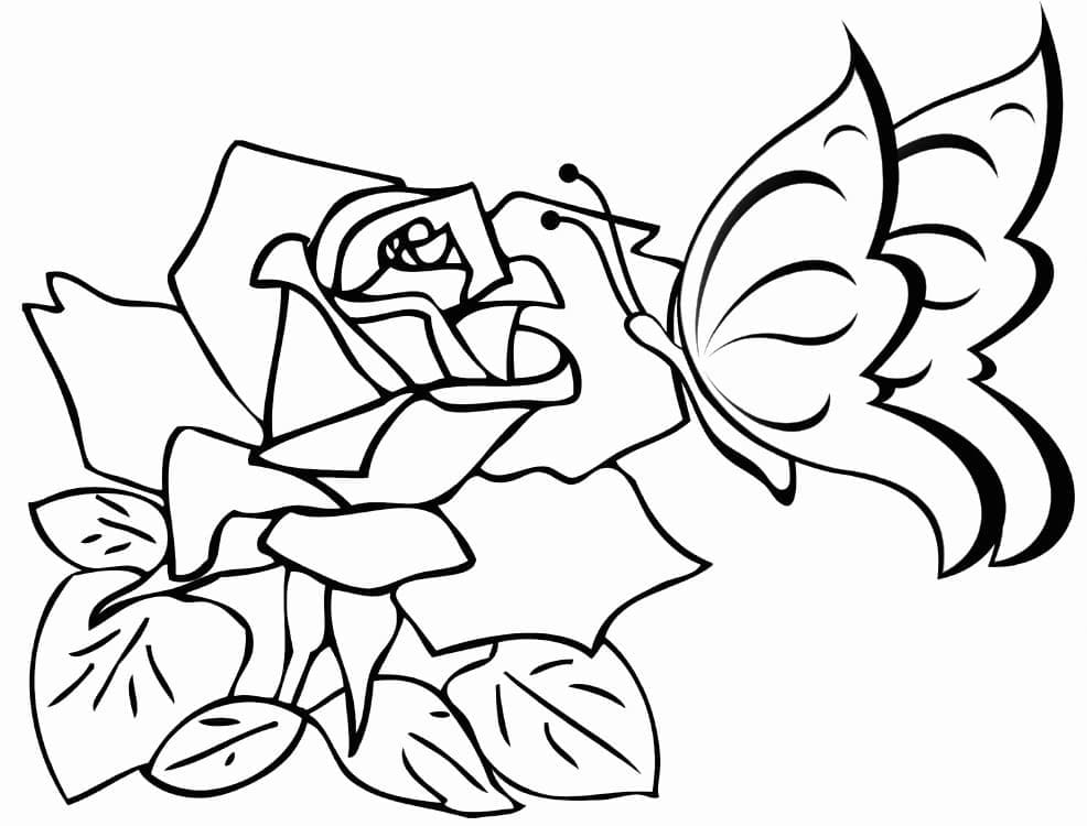 Schmetterlings- und Rosenblüten coloring page