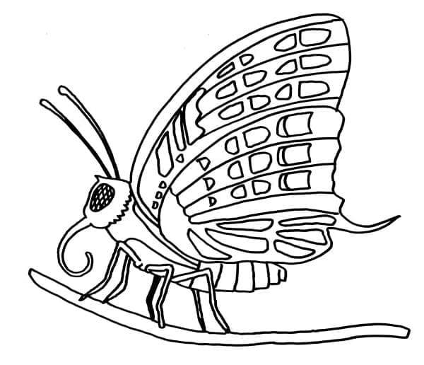Schmetterlingsfrei coloring page