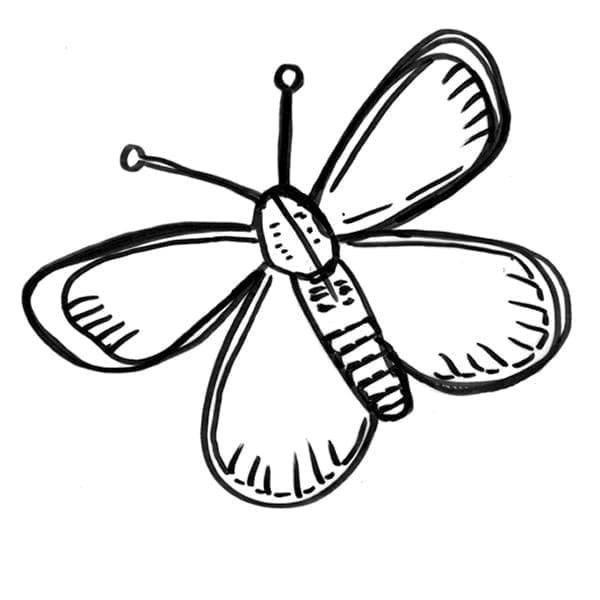 Schmetterlingszeichnung coloring page