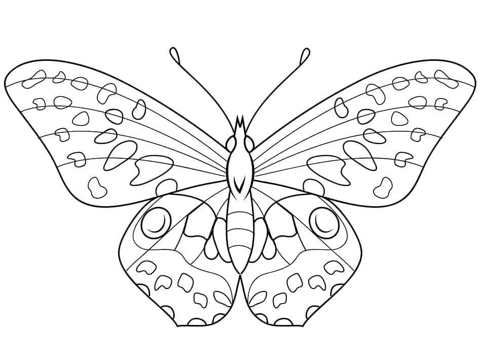 Schöner Schmetterling coloring page