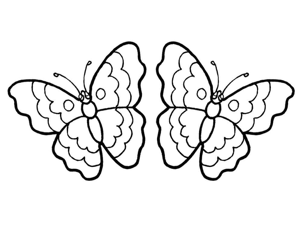 Zwei Schmetterlinge coloring page